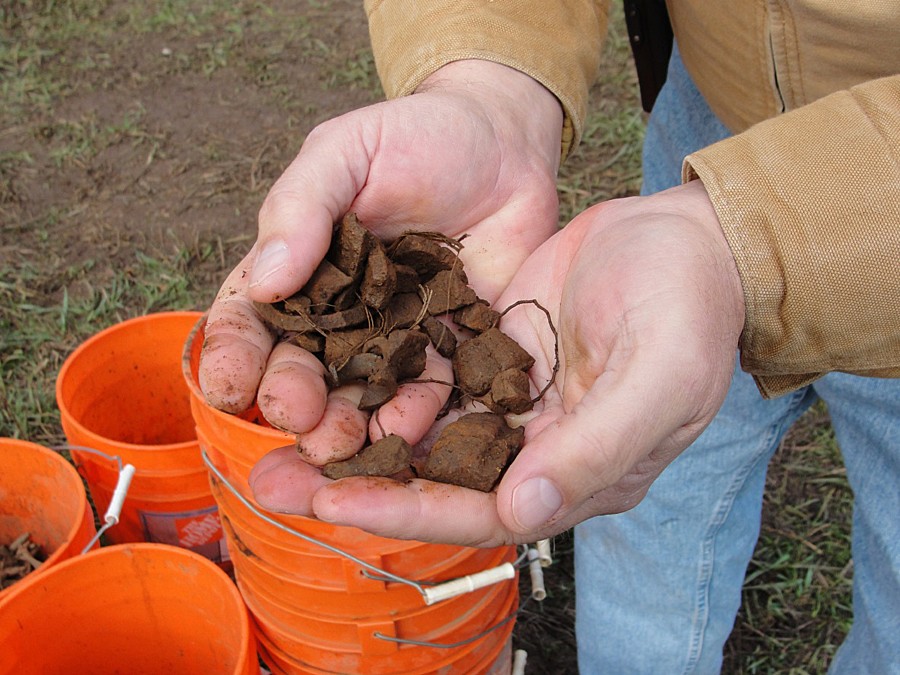 Munitions Response - The removal action of suspected munitions and explosives