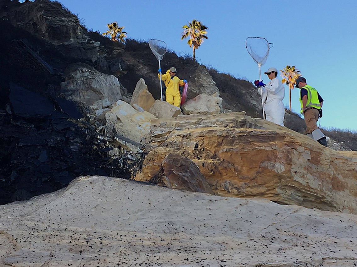 - On-shore field surveys, oversight of on-shore recovery activities