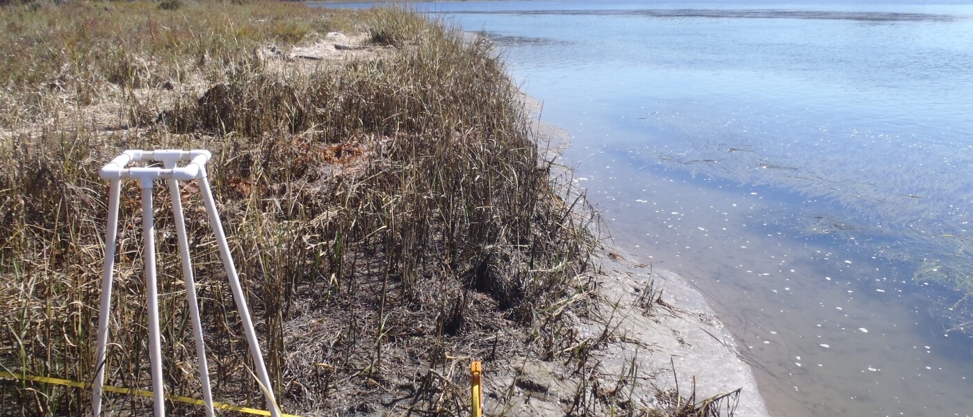 Water Engineering & Management - Annual Stormwater Monitoring Coalition stream bioassessment monitoring and reporting