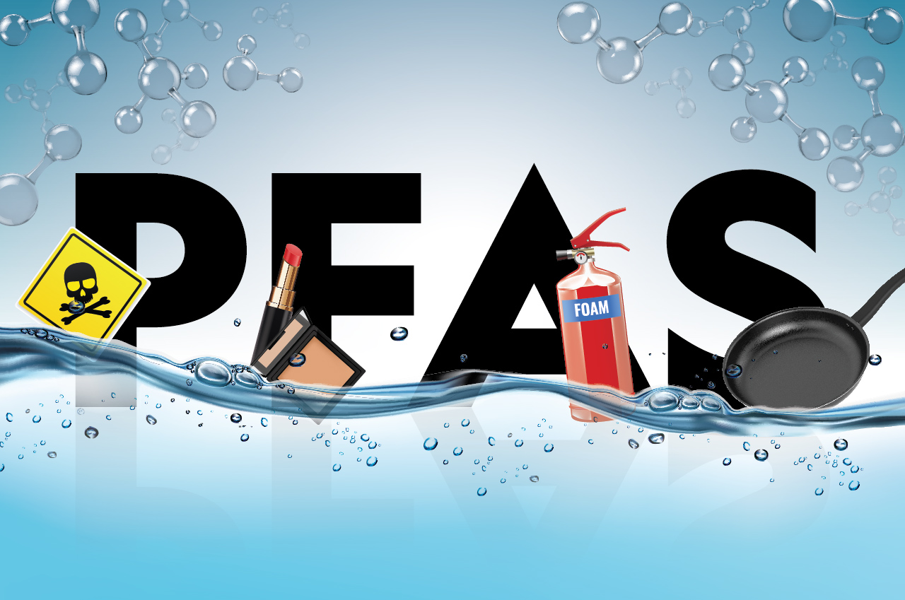 PFAS Bynikmahsutarsih